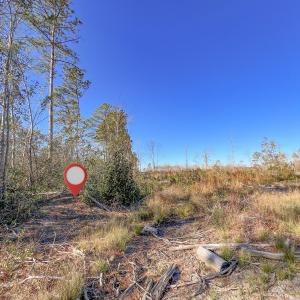 38-IMG_6046-Edit