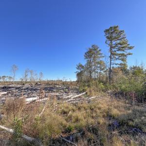 39-IMG_6047