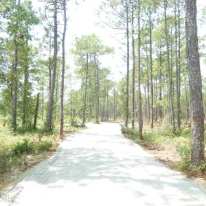 Photo #9 of 372 Greenview Ranches, Wilmington, NC 37.8 acres
