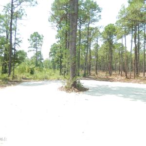 Photo #10 of 372 Greenview Ranches, Wilmington, NC 37.8 acres