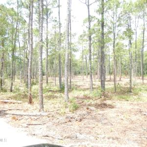 Photo #14 of 372 Greenview Ranches, Wilmington, NC 37.8 acres
