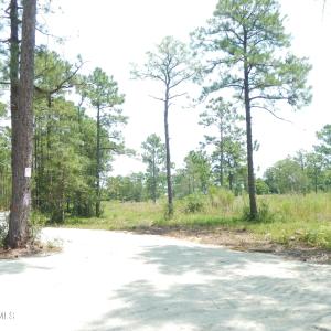 Photo #12 of 372 Greenview Ranches, Wilmington, NC 37.8 acres