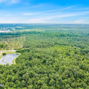 Heavily wooded land