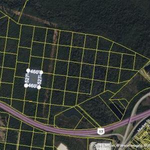 329 Greenview Ranches