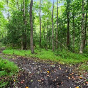 45-web-or-mls-DSC00853
