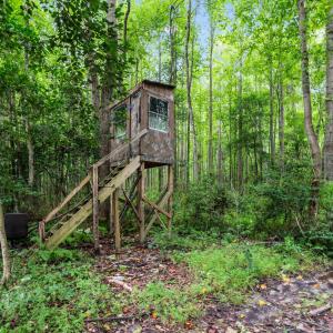 43-web-or-mls-DSC00850