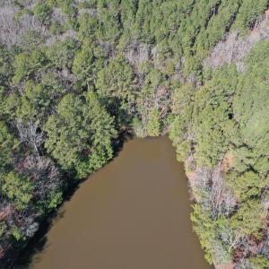 DJI_0742