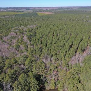 DJI_0743