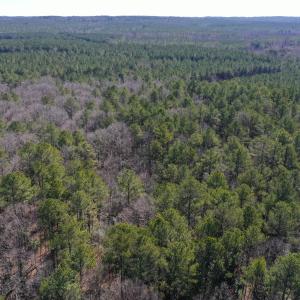 DJI_0749