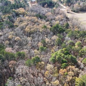 dji_fly_20241213_122120_0255_17341110351
