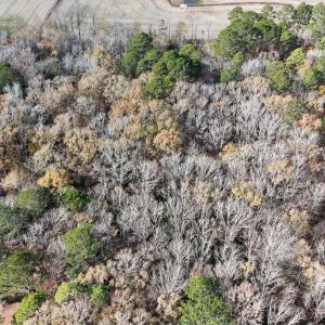 dji_fly_20241213_122236_0256_17341110338