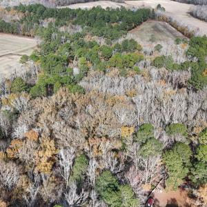 dji_fly_20241213_122328_0257_17341110329