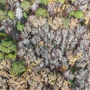 dji_fly_20241213_122550_0259_17341110294