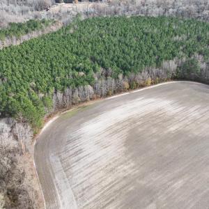 dji_fly_20241213_130238_0261_17341138076