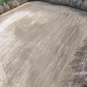 dji_fly_20241213_130250_0262_17341138059