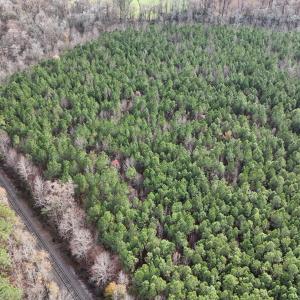 dji_fly_20241213_130728_0268_17341137996
