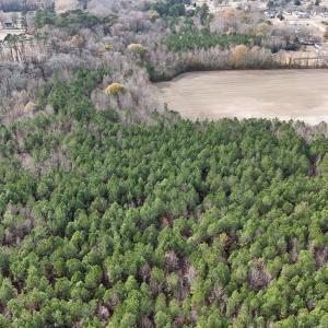 dji_fly_20241213_130810_0269_17341137984