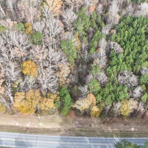 dji_fly_20241213_131036_0274_17341137909