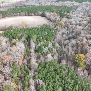 dji_fly_20241213_131046_0275_17341137897