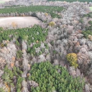 dji_fly_20241213_131050_0276_17341137886