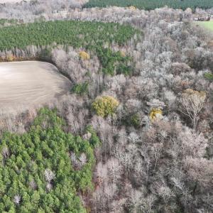 dji_fly_20241213_131112_0277_17341137874