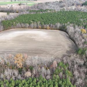 dji_fly_20241213_131124_0278_17341137862