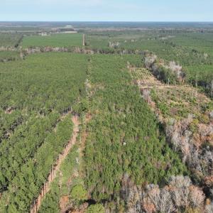 DJI_0579 (1)