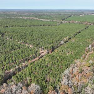 DJI_0580 (1)