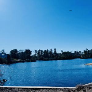 101 Shoreview 4