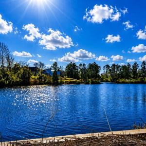 Photo #8 of 101 Shoreview, New Bern, NC 0.2 acres