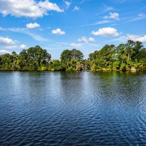 Photo #25 of 101 Shoreview, New Bern, NC 0.2 acres