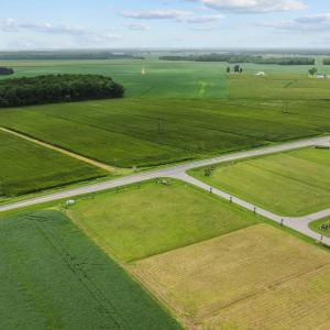 3-web-or-mls-DJI_0451