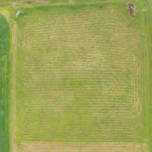 6-web-or-mls-DJI_0465