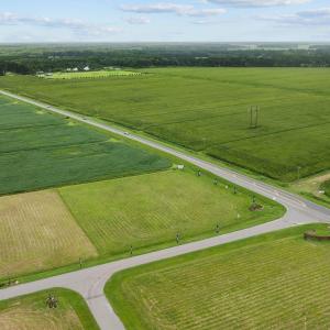 12-web-or-mls-DJI_0489