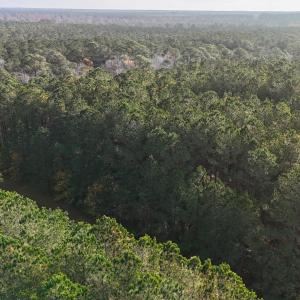 DJI_20241216093235_0166_D