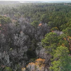 DJI_20241216093321_0169_D
