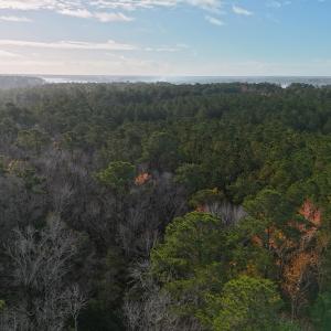 DJI_20241216093337_0171_D