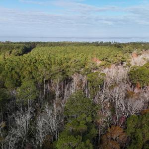 DJI_20241216093507_0177_D