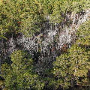 DJI_20241216093531_0179_D