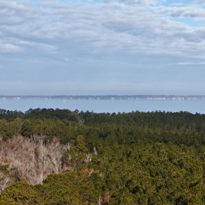 DJI_20241216093549_0181_D