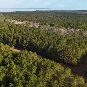 DJI_20241216093811_0186_D