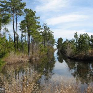 Canal View