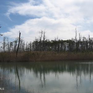 Pond View 2
