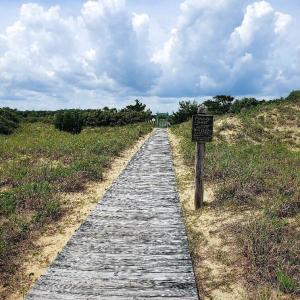 20211105190455925796000000-o