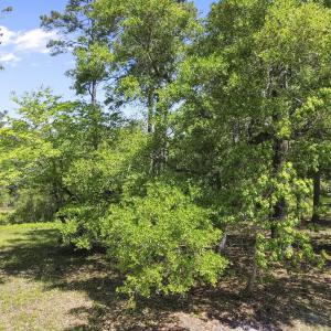 3494 Mill Pond Road