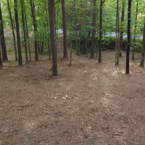 DJI_0774