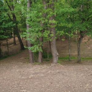 DJI_0769