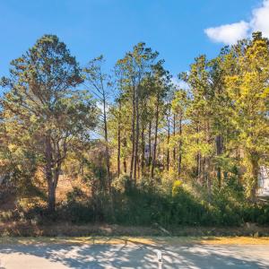 GI - 4 Watts Landing Rd - Listing-17