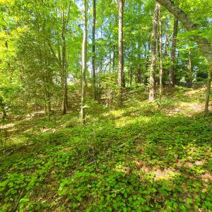 0.35ac - Therrian - Lee Co. - DM (15)