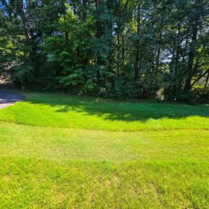 0.35ac - Therrian - Lee Co. - DM (19)